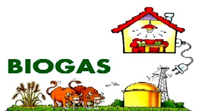 casa biogas